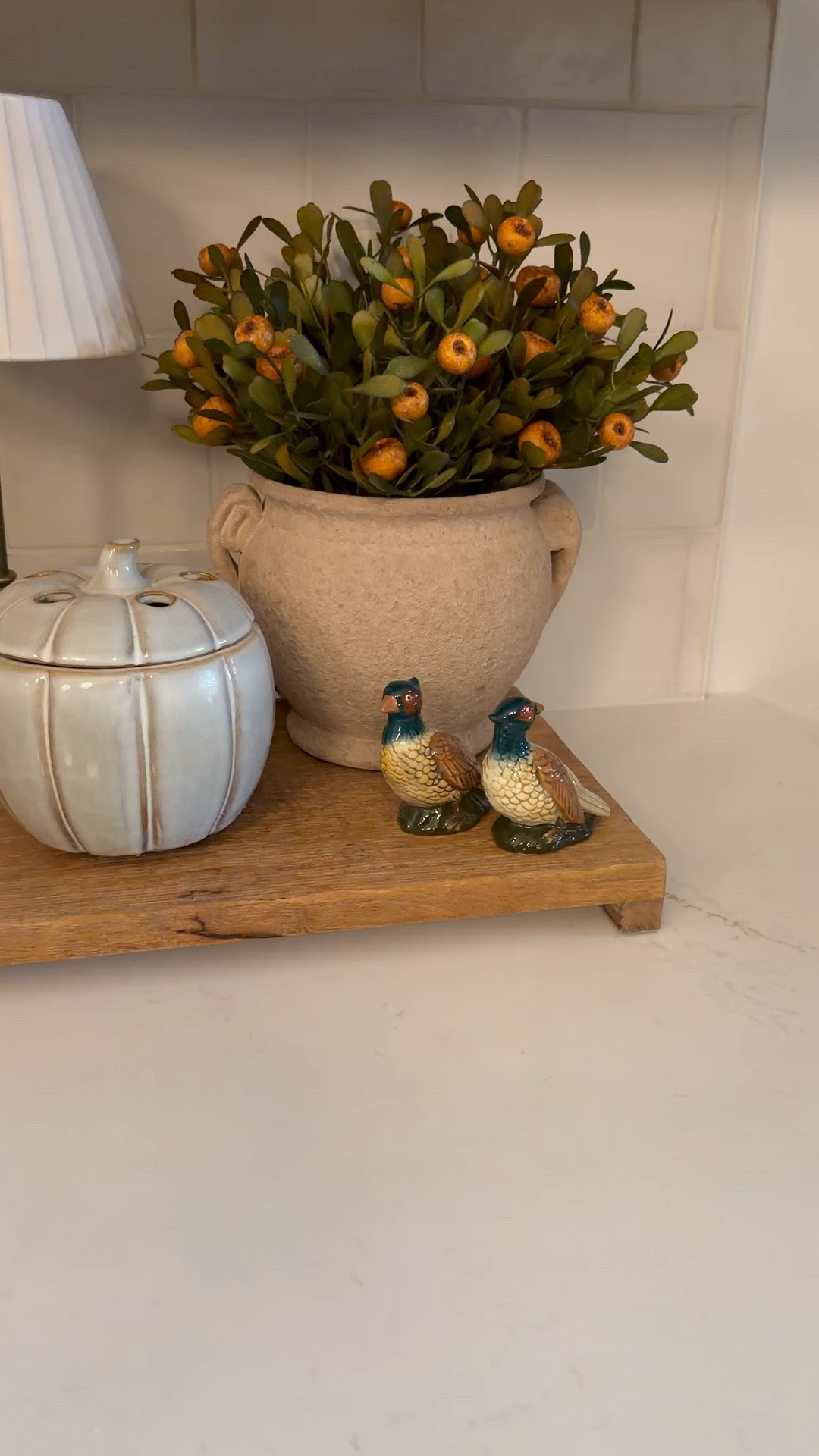 The pheasants Salt and pepper shakers from @Target are perfect!￼

#LTKSeasonal #LTKHome #LTKSaleAlert