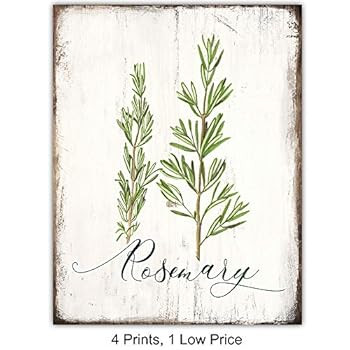 Botanical Herbs and Spices Kitchen Decor - Dining Room Decor - Larousse Gastronomique Wall Art fo... | Amazon (US)