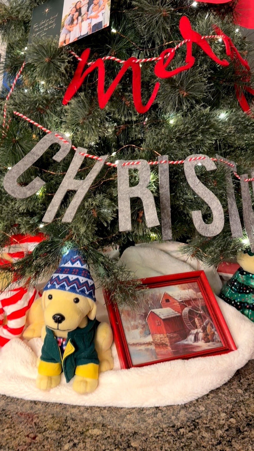 My favorite way to display Christmas cards! We have a 4 foot Christmas tree on our counter, and I use the branches to hang up cards as they arrive! Linked a similar tree and the fairy lights I used.
............
Christmas card display Christmas decor home decor Christmas decorations under $50 Christmas tree under $100 faux Christmas tree diy Christmas last minute Christmas decor Amazon fairy lights Christmas card hanger Christmas card Holder Christmas decor ideas Christmas traditions family traditions kid friendly Christmas decor holiday decor 

#LTKKids #LTKHoliday #LTKHome