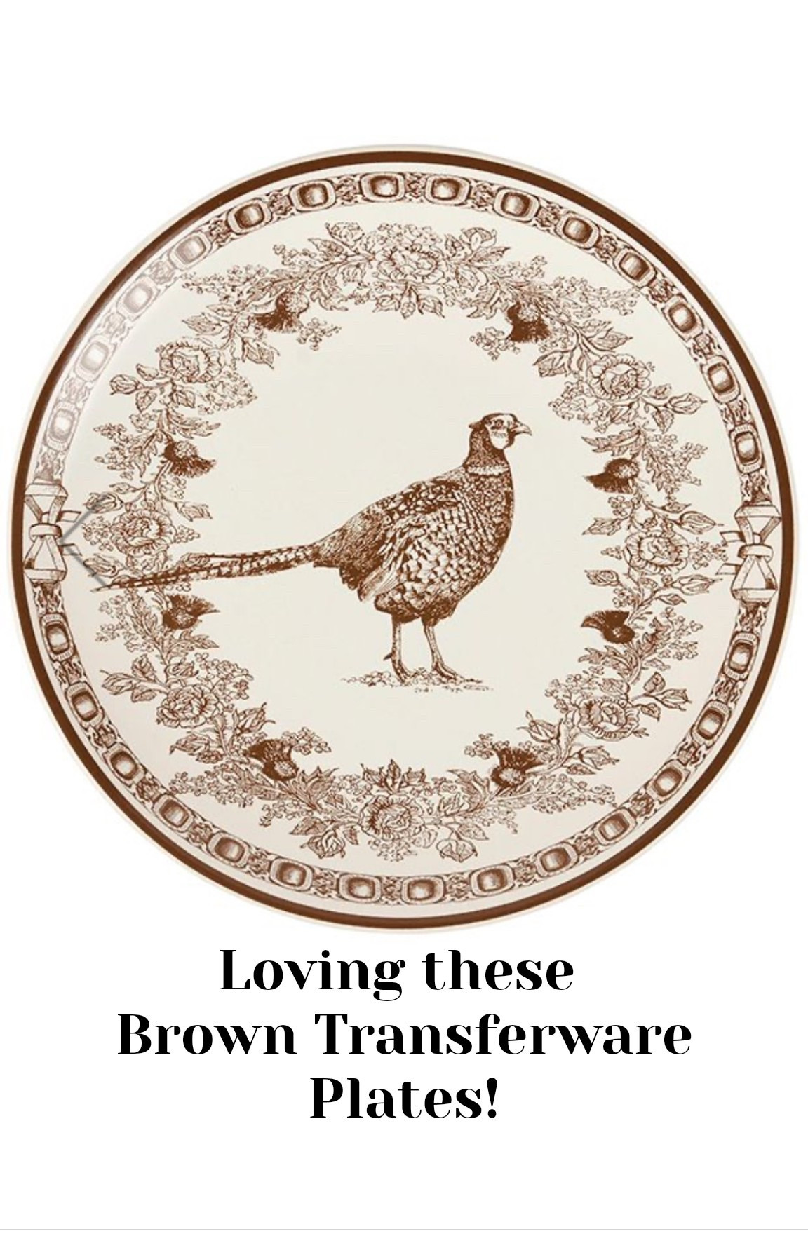 These transferware plates are gorgeous and perfect for fall! 🤎🤎🤎

#LTKHome #LTKSeasonal #LTKFindsUnder100