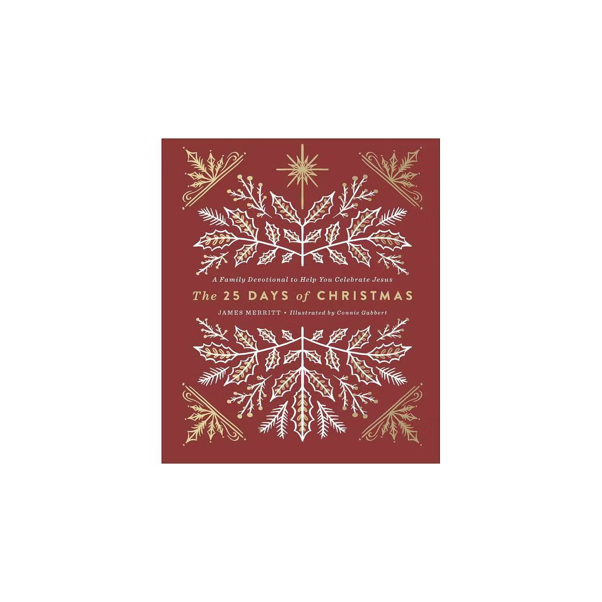 The 25 Days of Christmas - by  James Merritt (Hardcover) | Target