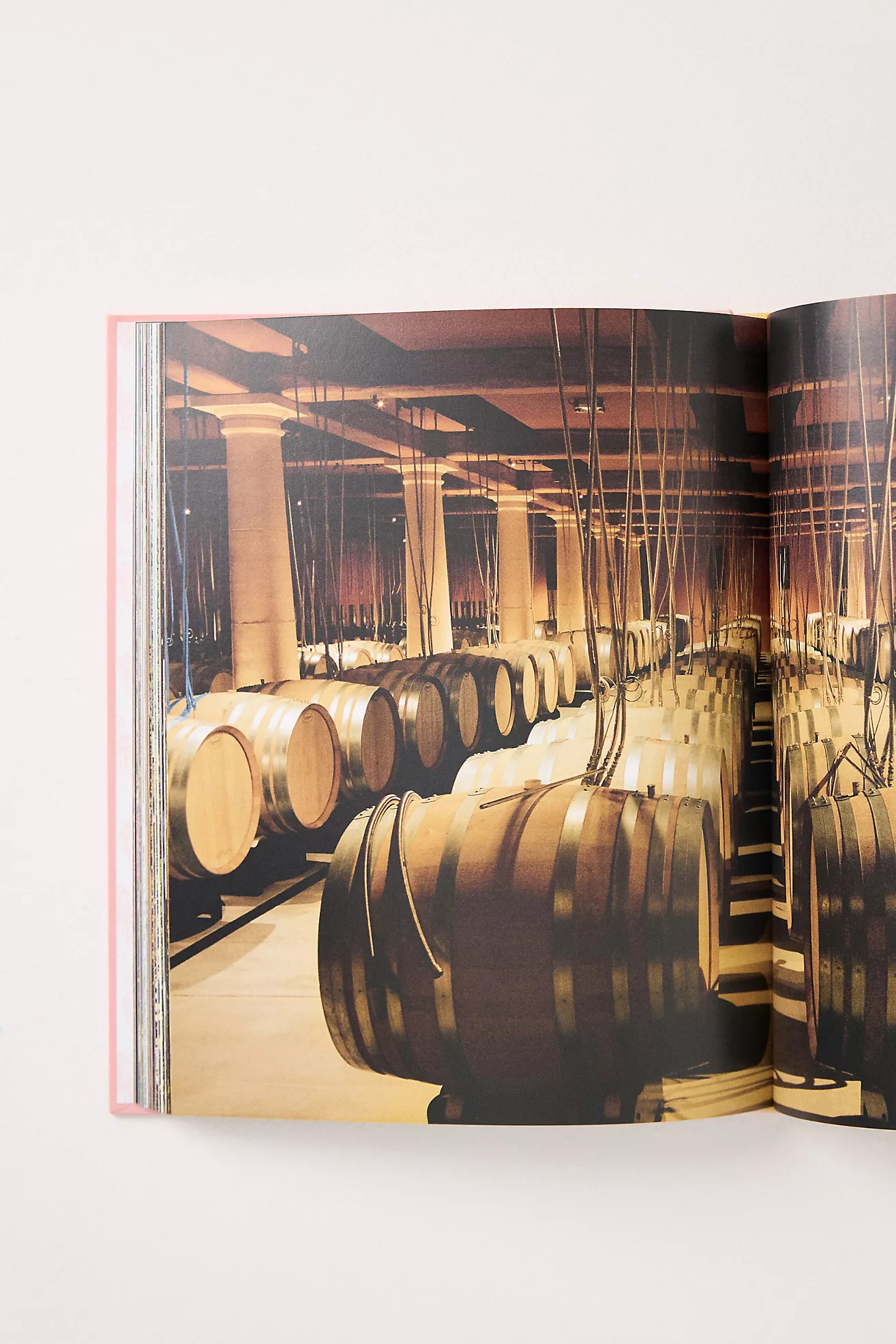 The Book of Rosé Hardcover Coffee Table Book | Anthropologie (US)