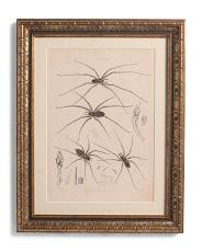 14X11 Cardinal Spider Wall Art | TJ Maxx