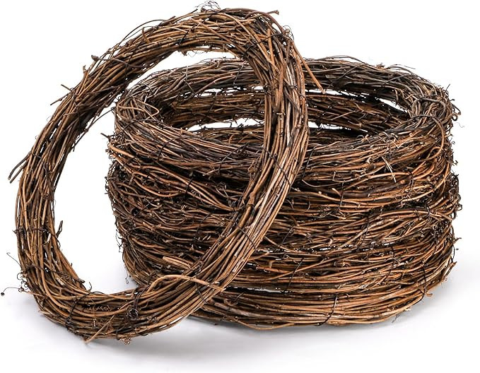 Frcctre 6 Pack 12 Inch Natural Grapevine Wreaths Vine Branch Wreath DIY Rattan Wreath Frame Front... | Amazon (US)