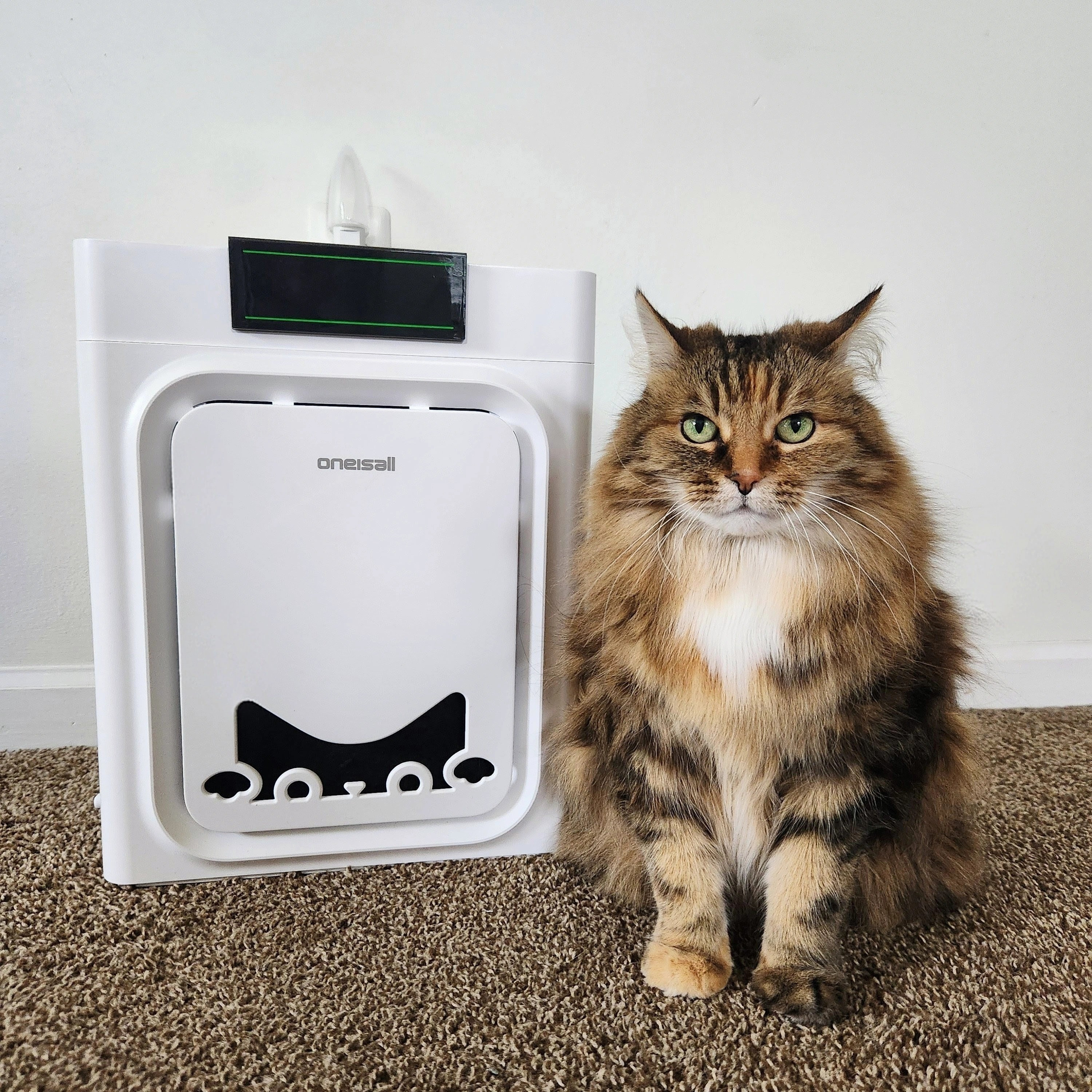 #ad @Oneisall_Official Is The Brand That Gives You The Life You Have Always Wanted With Your Cat😺No More Headaches, Just Love & Memories Made Everyday💖This Pet Air Purifier With Large Dual-Sided Intakes Captures Up To 8️⃣0️⃣% More Pet Hair😲It's Unique Cat Cutout Design Let's You See Collected Hair In Real Time, Preventing Filter Clogging & Maintaining High-Efficiency Operation🦱Perfect For Bedrooms, Living Rooms & Family Gatherings. It Delivers Rapid, Thorough Purification To Keep The Air Fresh Wherever You Need It💨Invisible Air, Visible Fur. Dust, Fur & Odors Gone🚫🤢⬆️Linked In My Bio⬆️#Sponsored #Oneisall #PetAirPurifiers #AirPurifiers

