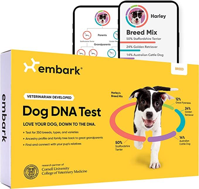 Embark Breed Identification Kit | Most Accurate Dog DNA Test | Test 350+ Dog Breeds | Breed ID Ki... | Amazon (US)