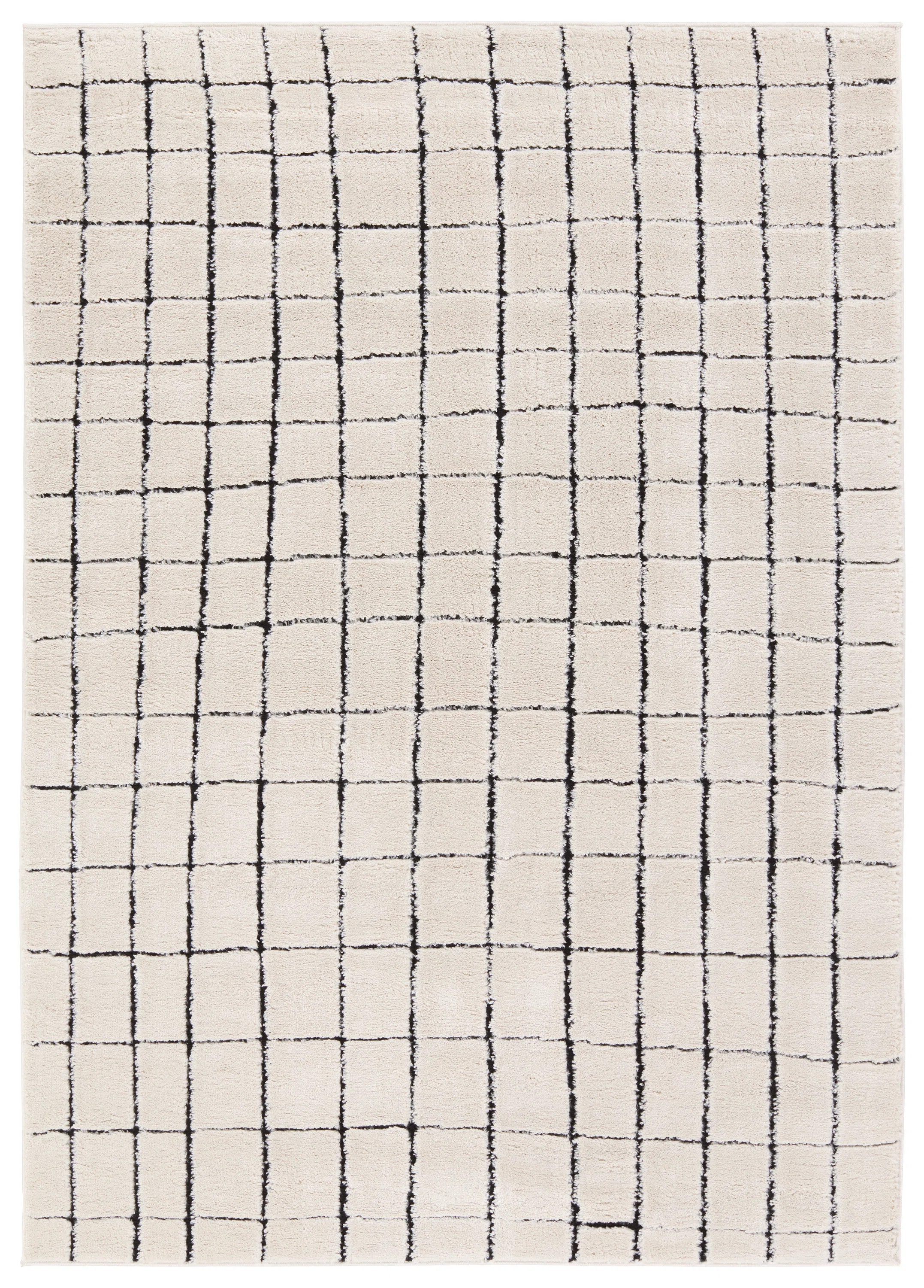 Indoor Rug | Wayfair North America