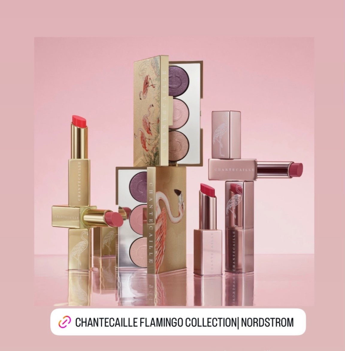 CHANTECAILLE FLAMINGO COLLECTION AVAILABLE AT NORDSTROM

#LTKValentine #LTKBeauty #LTKgrwm