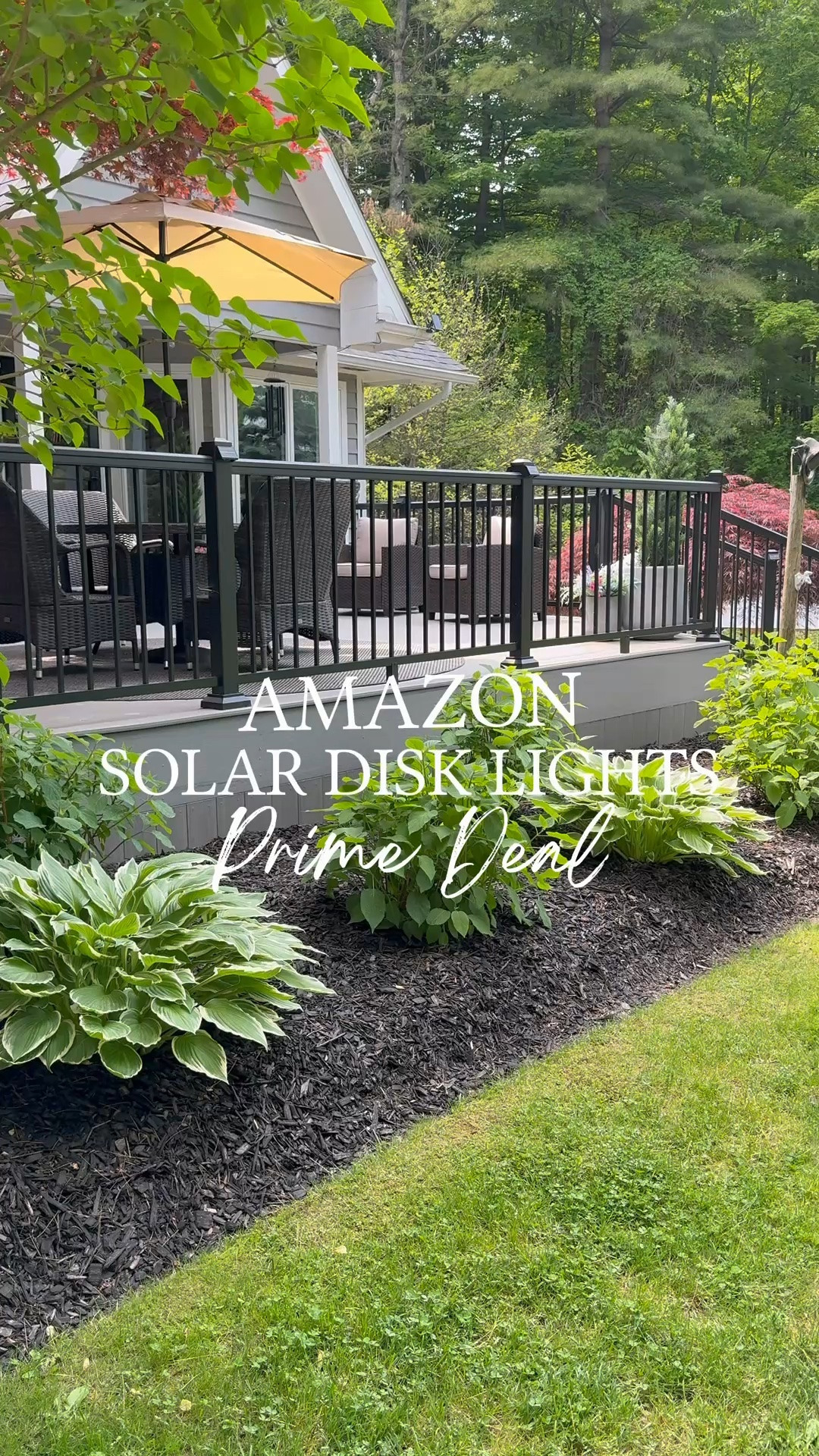 Amazon Solar Lights On Prime Deal ✨ Give your yard an easy glow-up with these Amazon solar disc lights! They charge during the day and automatically light up at night for the prettiest outdoor glow. Waterproof, easy to install, and even Bella approved. 🐾🤎

#LTKHome #LTKSaleAlert #AmazonHome #PrimeDayDeals #OutdoorLighting #SolarLights #OutdoorDecor #YardIdeas #OutdoorLiving