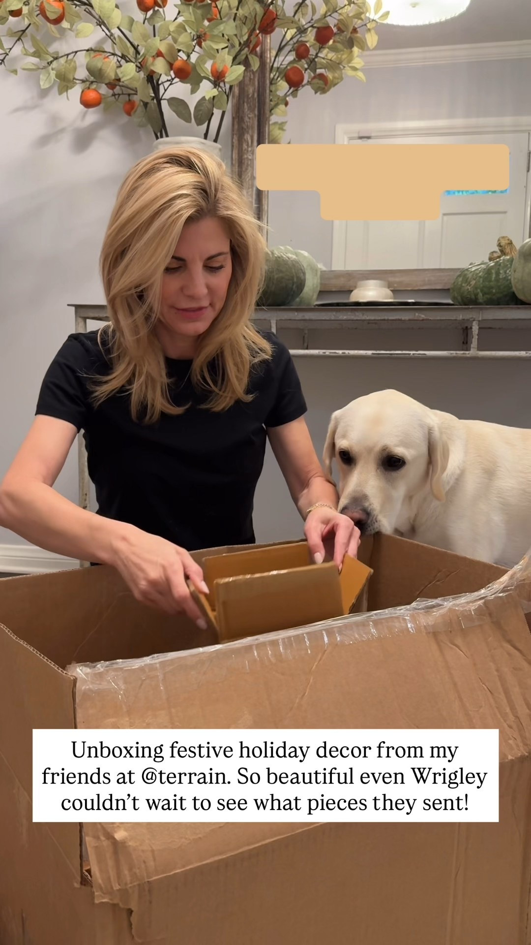 Doing an unboxing of my Terrain table decor! First up? These golf crown taper holders! #gifted  

#LTKHome