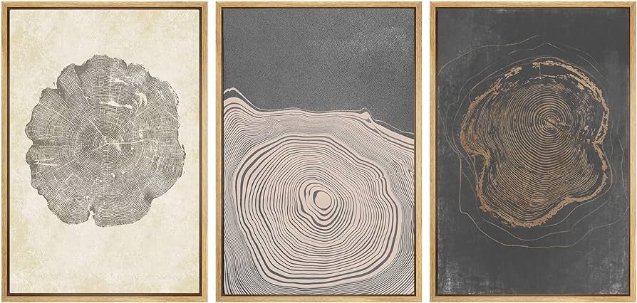 SIGNWIN Framed Canvas Print Wall Art Set Pastel Gray Wood Tree Ring Spirals Nature Abstract Drawi... | Amazon (US)