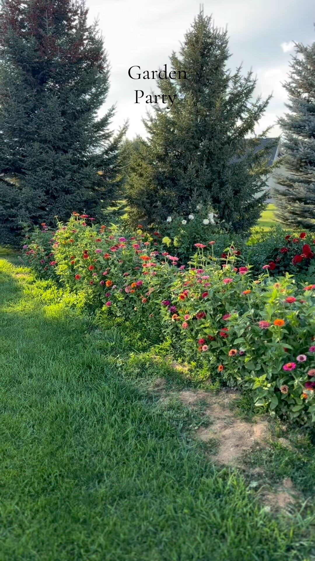 Who loves a good summer party?! 🤩 

#LTKParties #LTKSeasonal