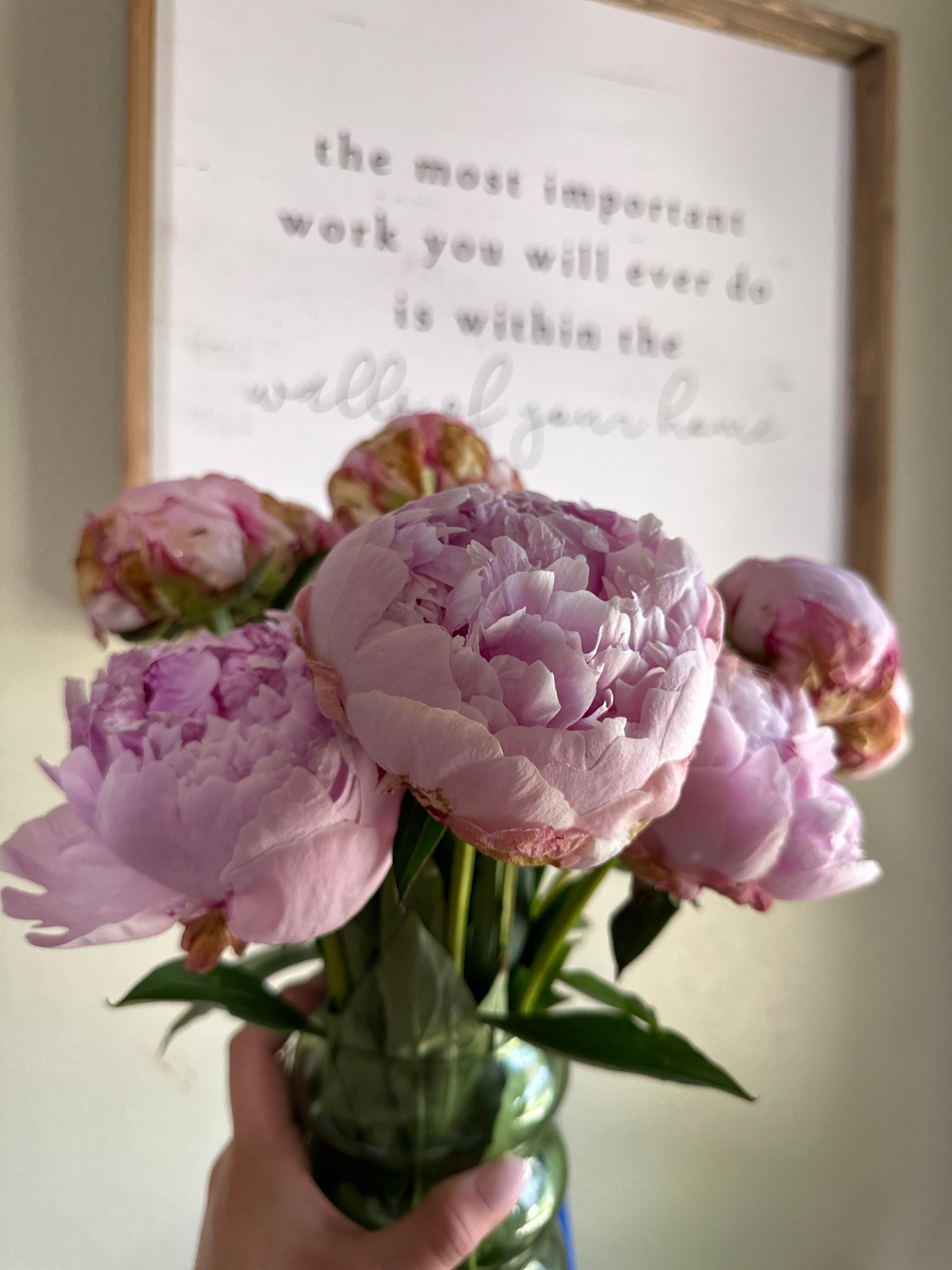 Peonies 🥹🩷

#LTKSeasonal #LTKHome #LTKWedding