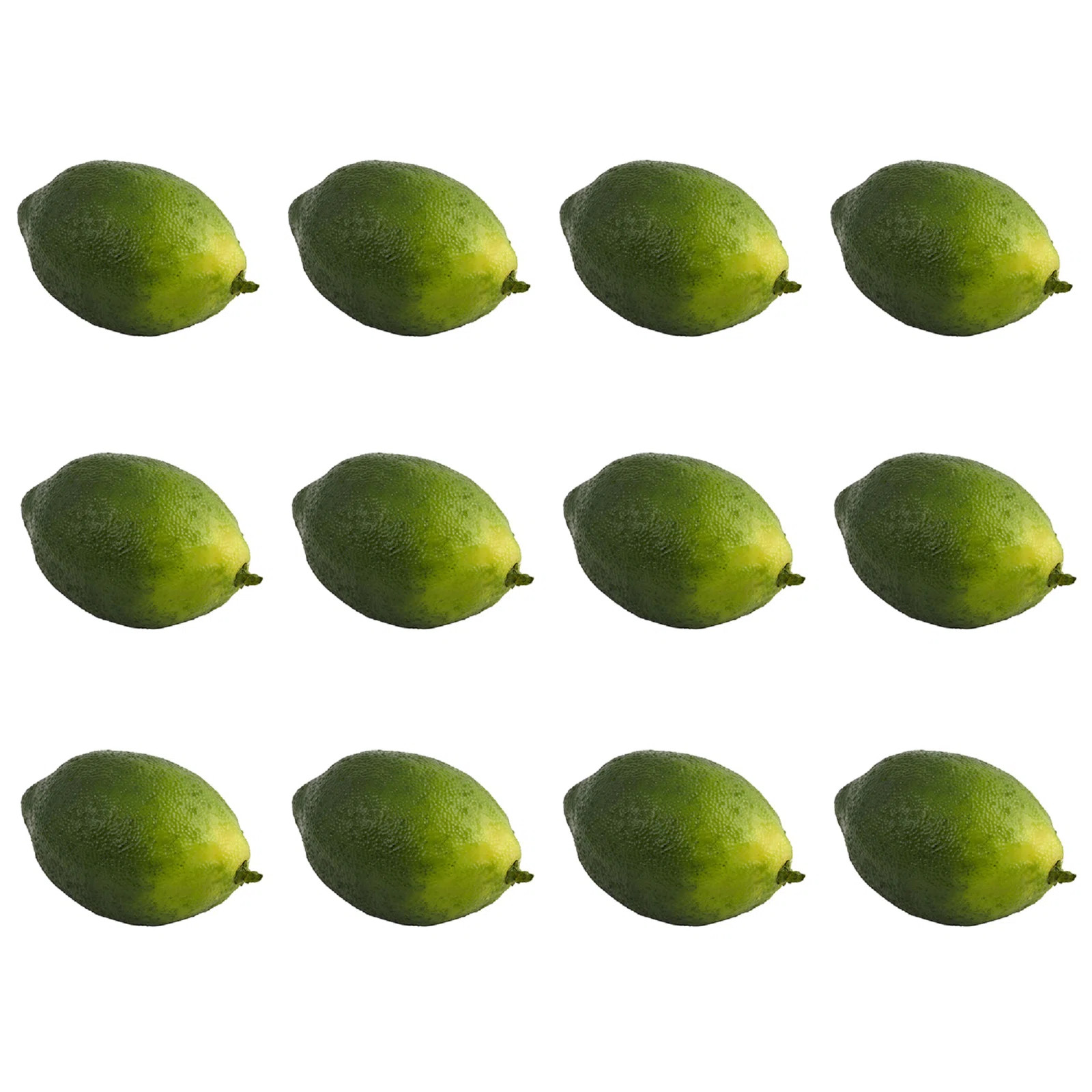 Charlton Home® Molokai Faux Limes "& Reviews" | Wayfair | Wayfair North America