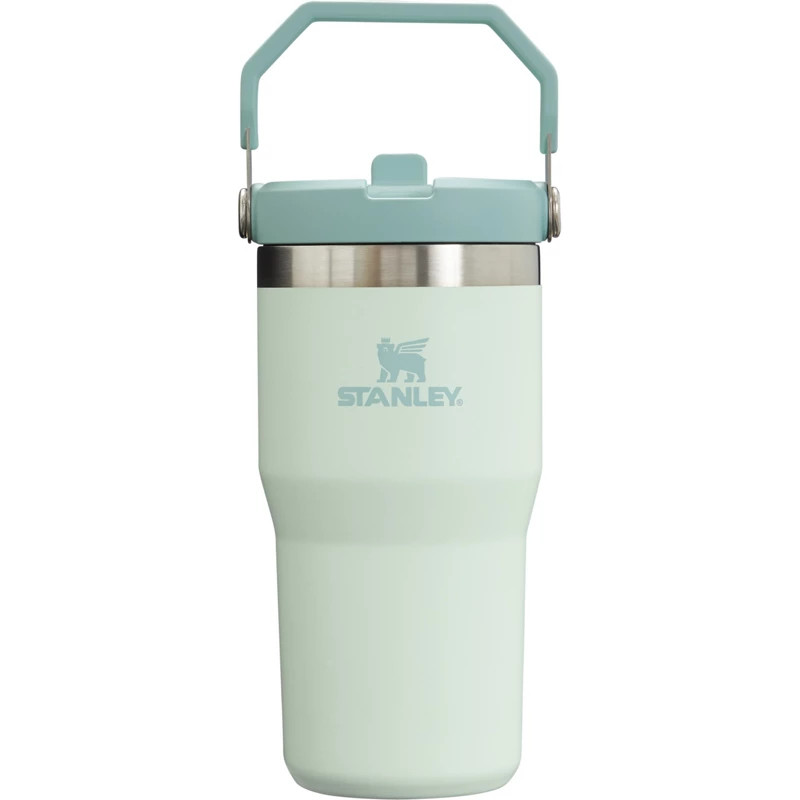 Stanley The IceFlow 20 oz Classic Flip Straw Tumbler - Thermos/Cups &koozies at Academy Sports | Academy Sports + Outdoors