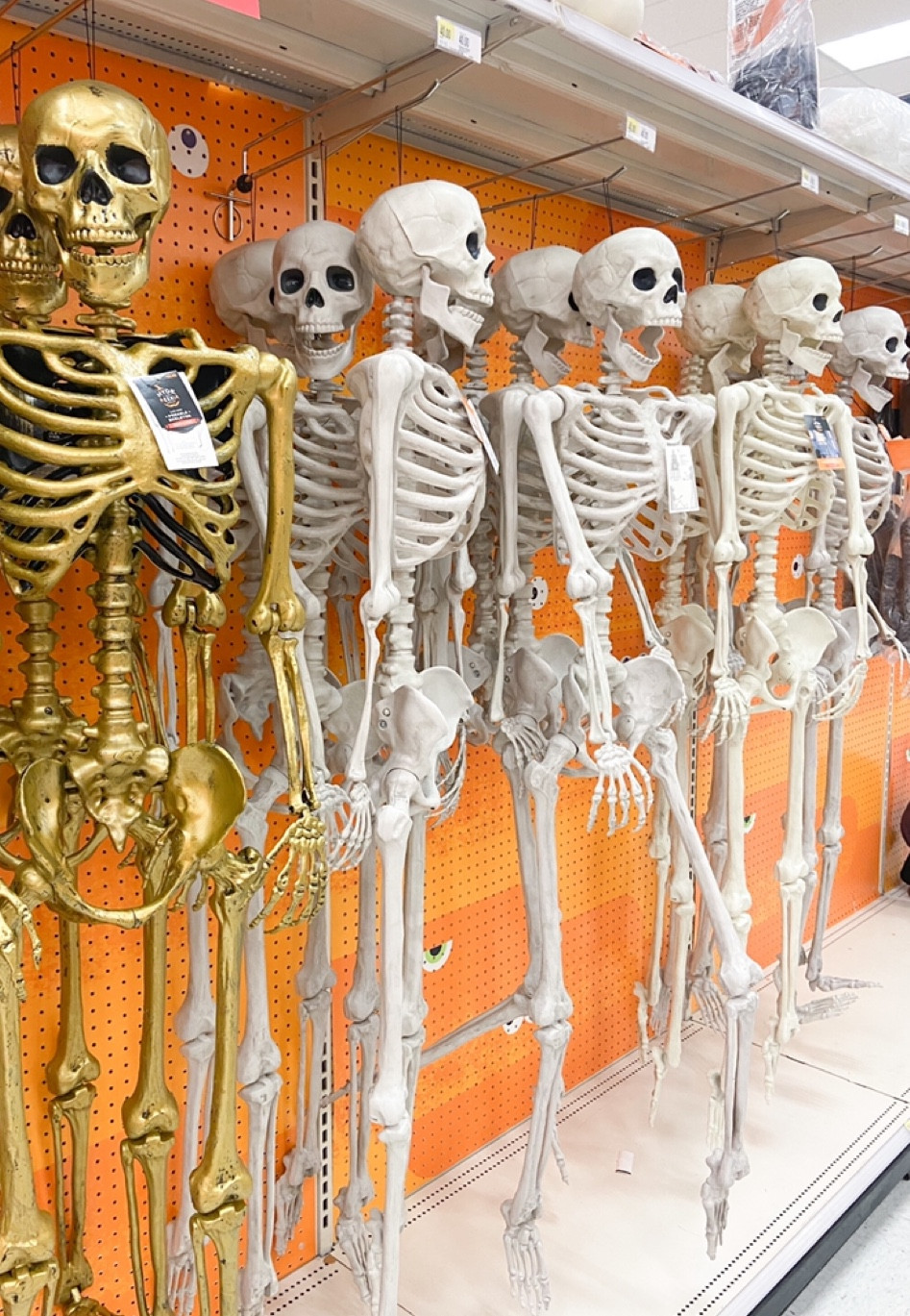 ☠️ these are the best skeletons! Comes in many different styles! 

Halloween, target finds, home decor, spooky decor, skeleton decor


#LTKSeasonal #LTKhome #LTKHalloween
