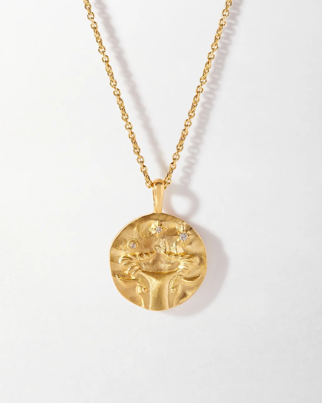 Taurus Zodiac Necklace | Edge of Ember Ltd