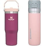 Stanley IceFlow Stainless Steel Tumbler with Straw, Vacuum Insulated Water Bottle for Home, Office o | Amazon (US)