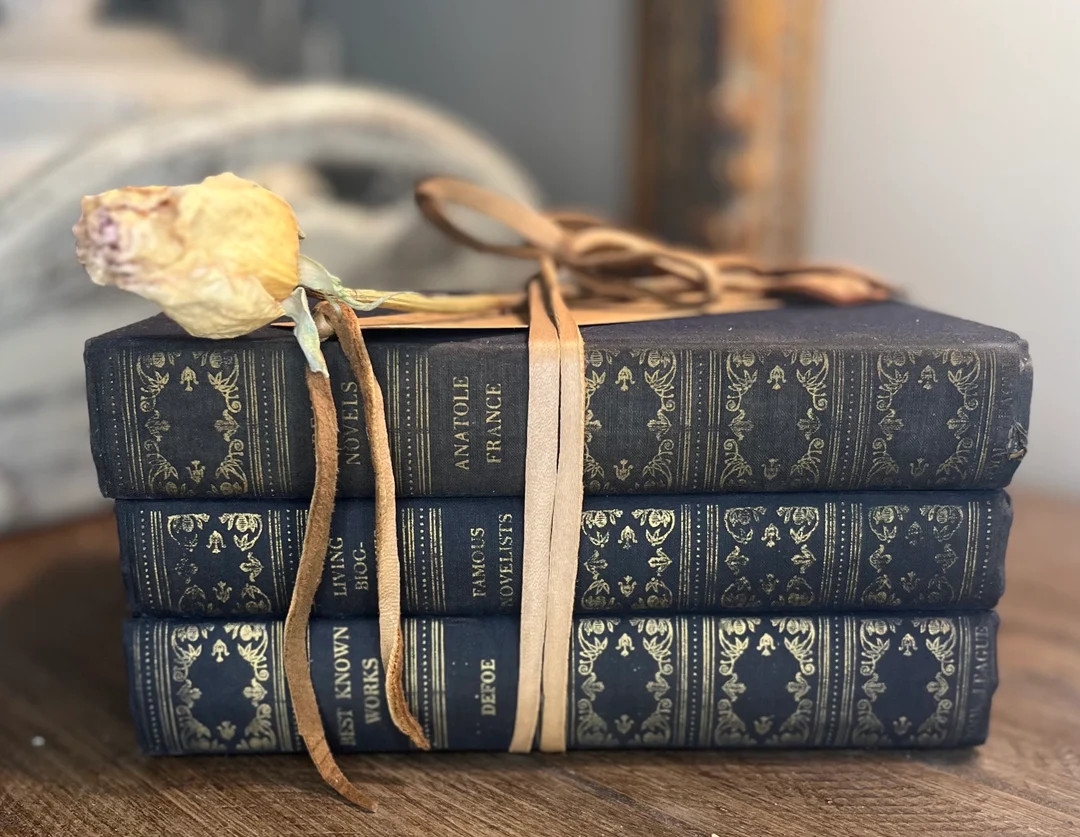 Vintage Navy Blue Book Bundle, Classic Home Decor , Traditional Collection, Staging Books, Mascul... | Etsy (US)
