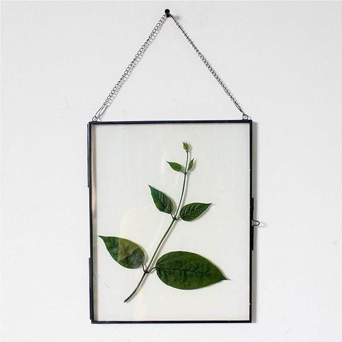 Lvpage libroqia Hanging Glass Frame for Pressed Flowers Copper Glass Picture Frames Modern Wall D... | Amazon (US)