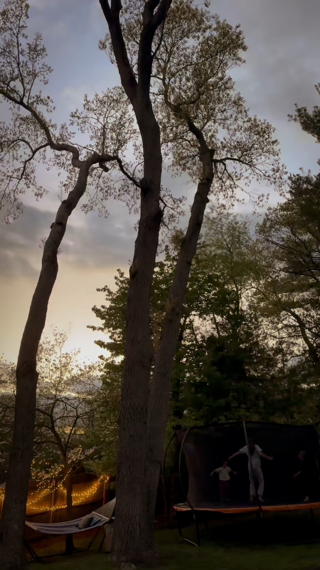 #ad Discover the perfect way to unwind in your own backyard with the new @sunnydazedecor Hammock. Crafted for comfort and durability, it's designed to create a peaceful retreat where you can relax, read, or simply enjoy the outdoors. Elevate your outdoor space and find your calm



#ChicInteriors #StylishSpaces #TrendyDecor #ElegantLiving #ModernHome #CozyCorner #Interiorinspo #HomeStyle #DesignTrends #DecorEnvy
#DreamInteriors #HomeGoals #DecorCrush
#InspiringSpaces #anthroliving
#BeautifulHomes
#DecorDelight #CreativeLiving #Luxelnteriors #HomeVibes #smmakelifebeautiful

#LTKxMadewell #LTKSeasonal #LTKHome