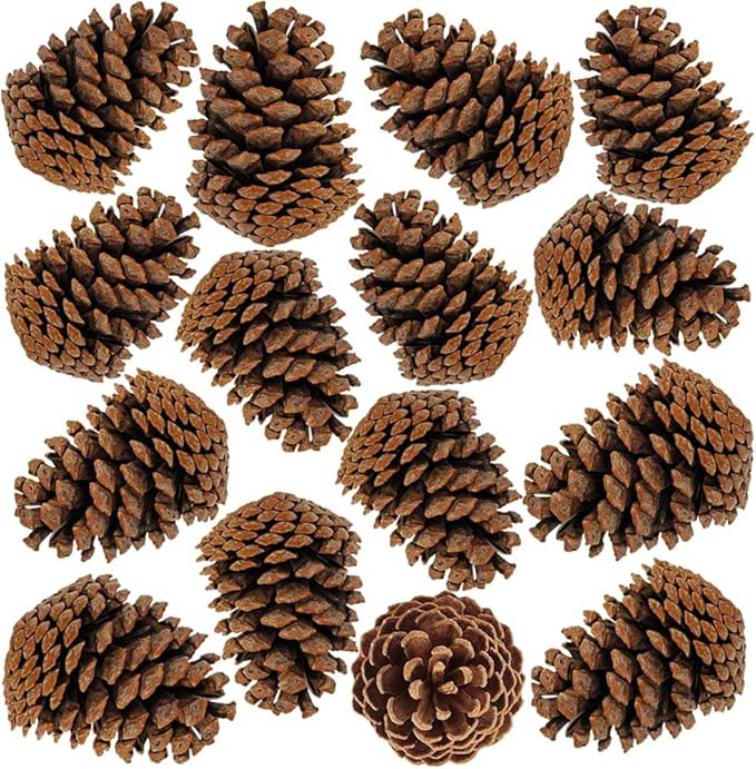 BESTTOYHOME 15 PCS Natural Pinecones Medium Pine Cones Ornaments Real Preserved Pine Cones - Drie... | Amazon (US)