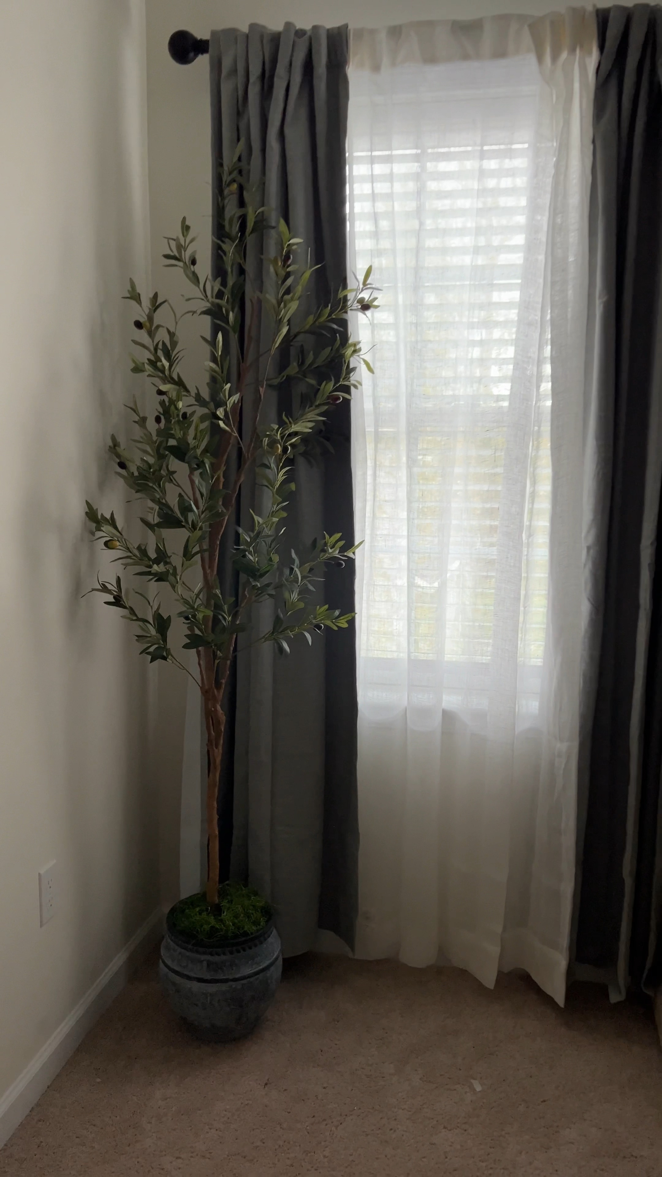 Faux olive tree | master bedroom | home decor | luxe aesthetic | Walmart find | target find | faux plants | indoor plant 

#LTKHome #LTKVideo