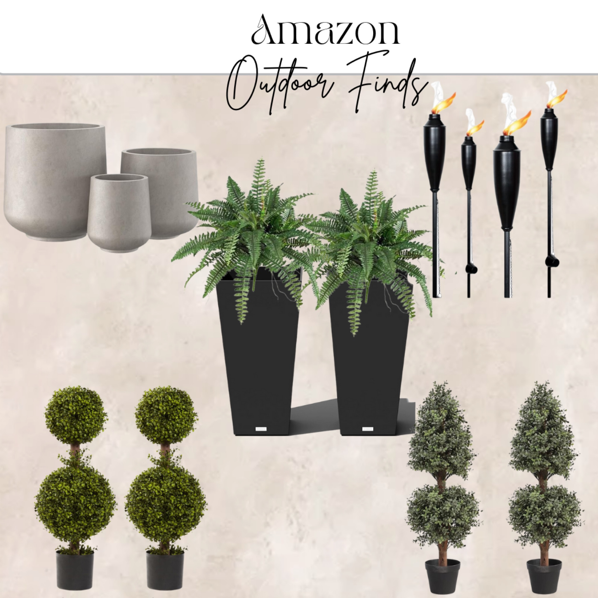 Amazon Outdoor Plants & Accessories