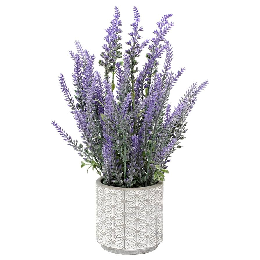 DILATATA Lavender Flowers Artificial Decor in Cement Pot - Faux Plants for Rustic Home, Bathroom,... | Amazon (US)