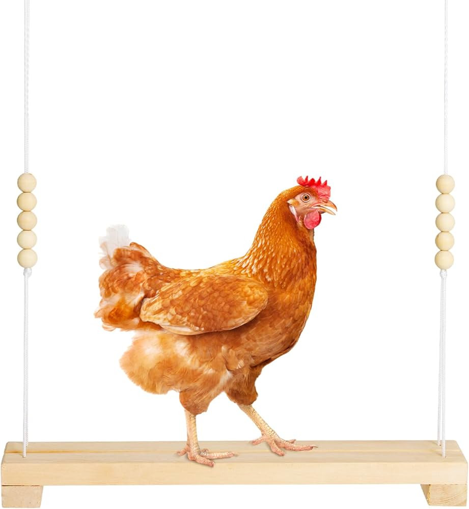 40cm Natural Wooden Chicken Swing Perch with Iron Monkey Decoration & Adurable Rope - Safe Poultr... | Amazon (US)