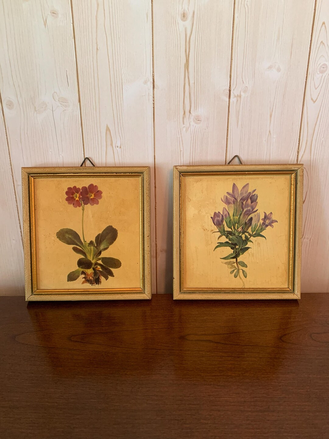 Vintage Botanical Wall Art – Set of 2 Framed Floral Art Prints - Etsy | Etsy (US)