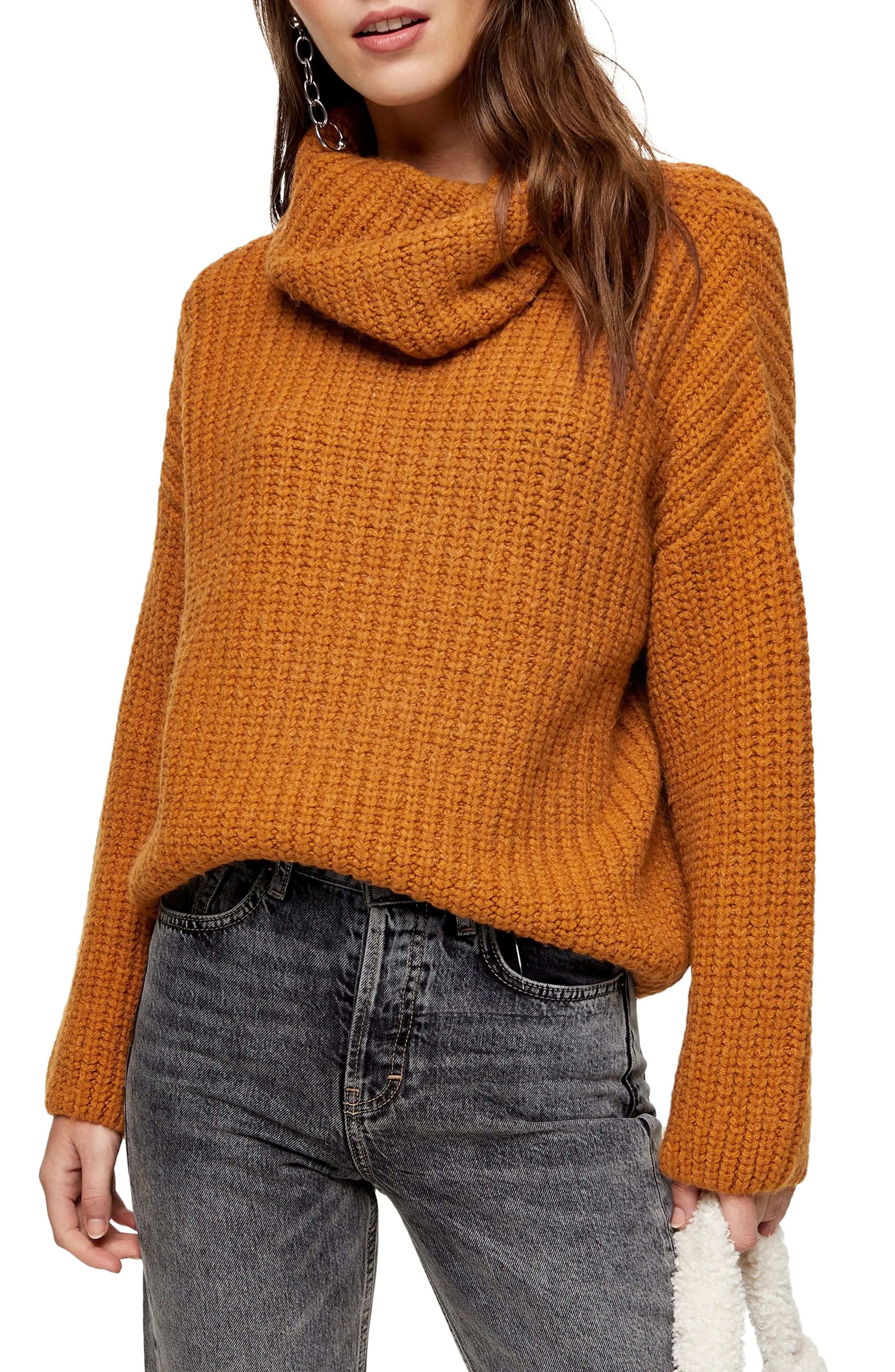 Turtleneck Rib Knit Sweater | Nordstrom