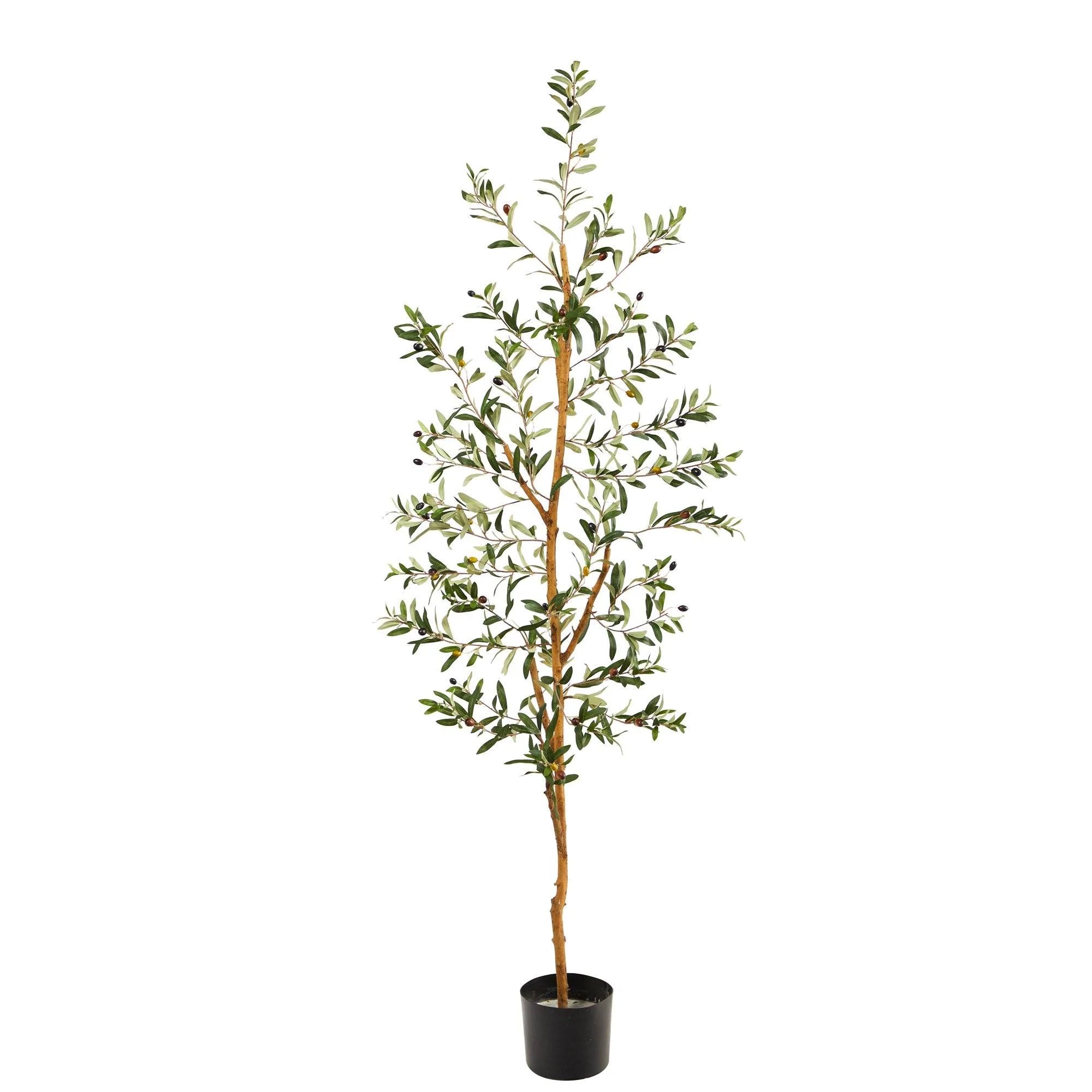 5.5’ Olive Artificial Tree | Nearly Natural | Nearly Natural