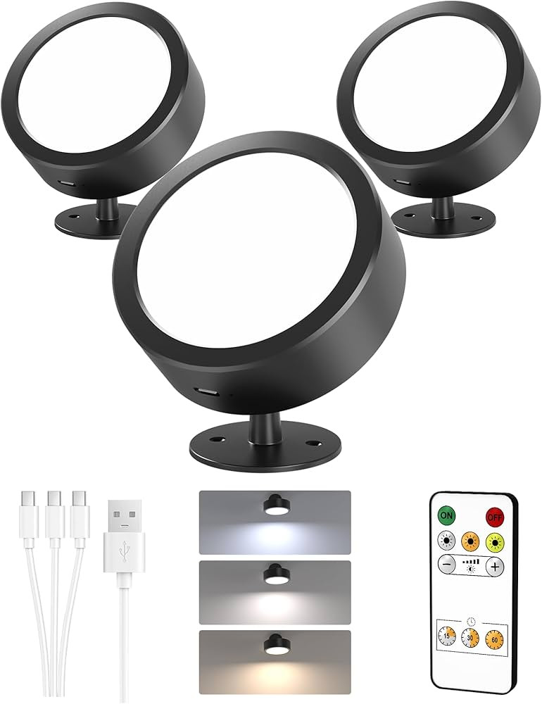 EZVALO LED Wall Mounted Lights, 5500mAh Rechargeable Wall Sconces Lamp, 3 Color Temps & Remote an... | Amazon (US)