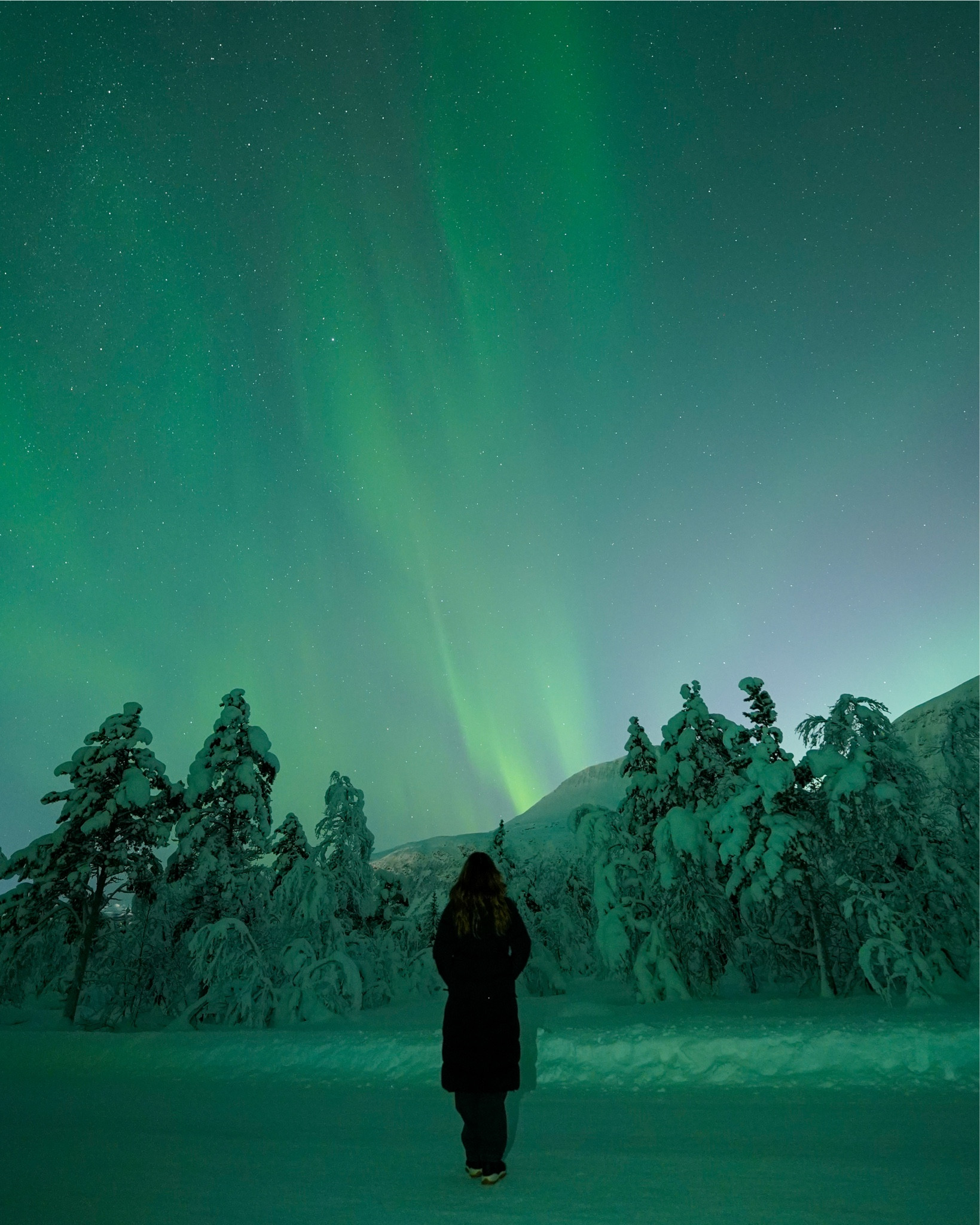 My must-have winter coat for the perfect Northern Lights adventure.

#LTKTravel #LTKSeasonal #LTKHoliday