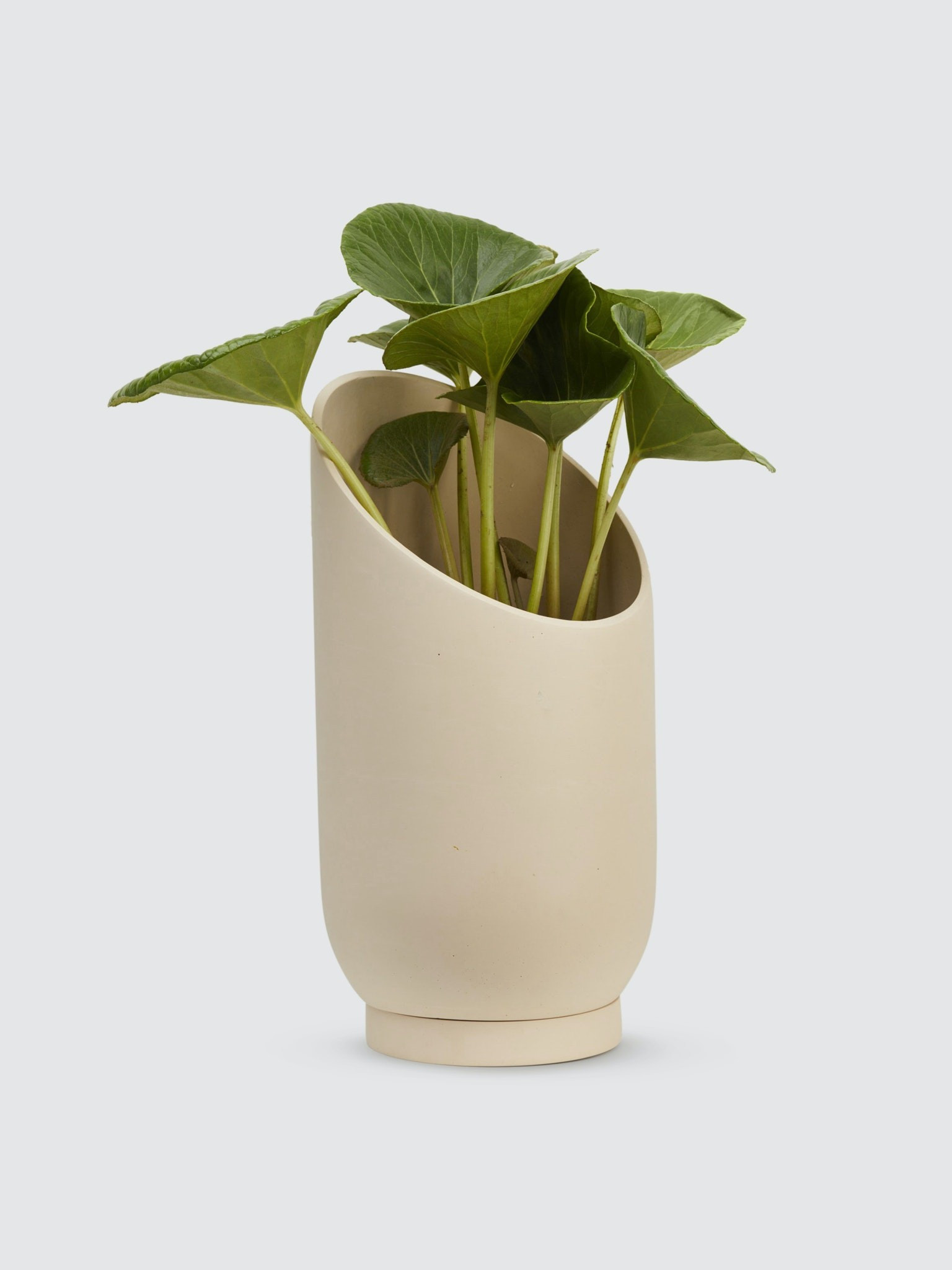 Large Summit Planter | Verishop