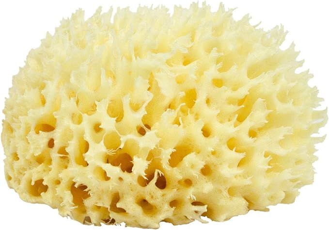 Neptune Natural Sea Wool Sponge - All Natural Honeycomb Renewable Sea Sponge, Medium, 3.5-4.5 inc... | Amazon (US)