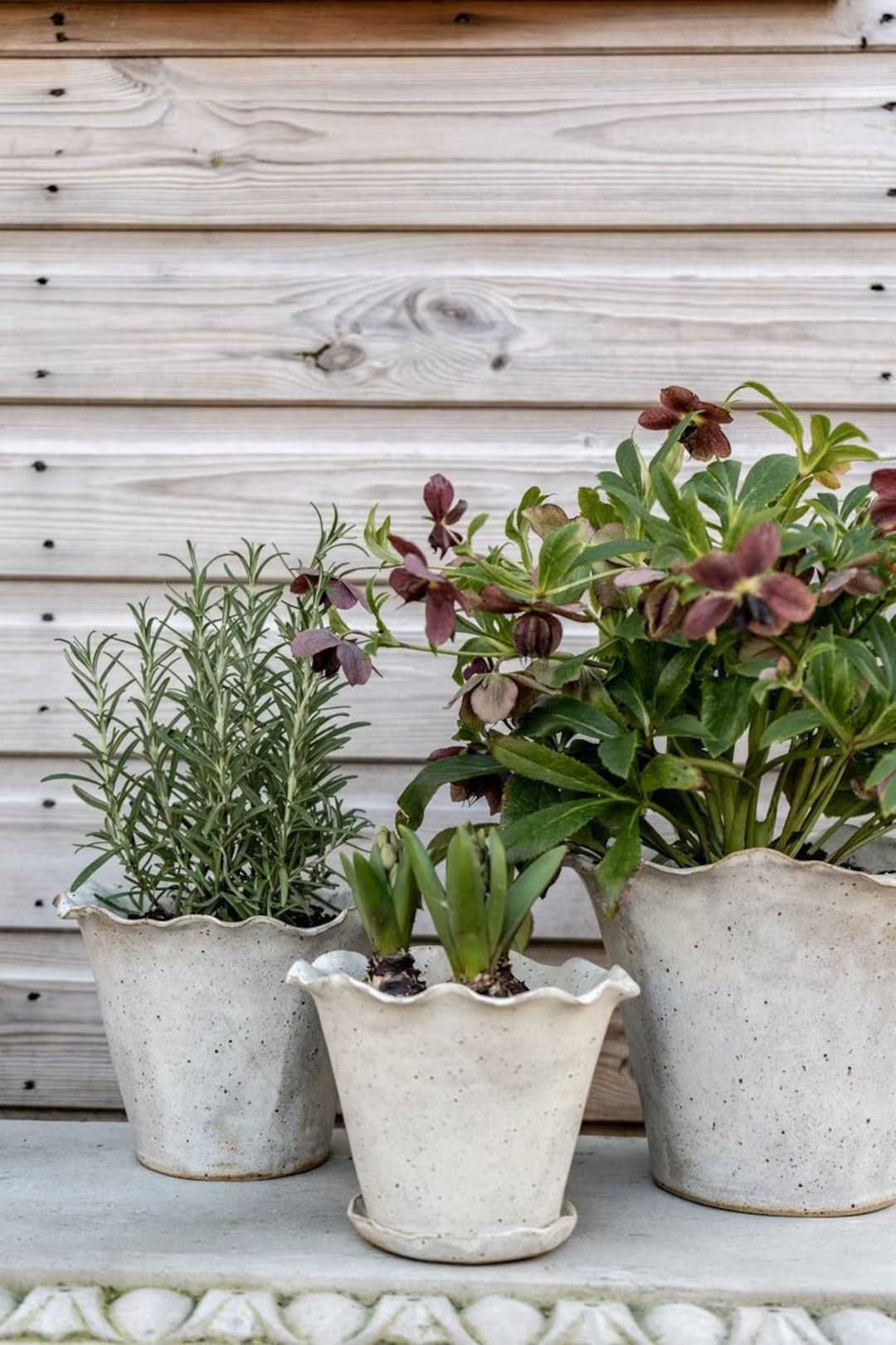 Ebba Giardino Handmade Planter, Stoneware Pottery, Floral Display - Etsy | Etsy (US)