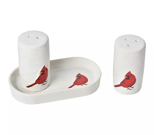 Temp-tations Salt and Pepper Set with Plate - QVC.com | QVC