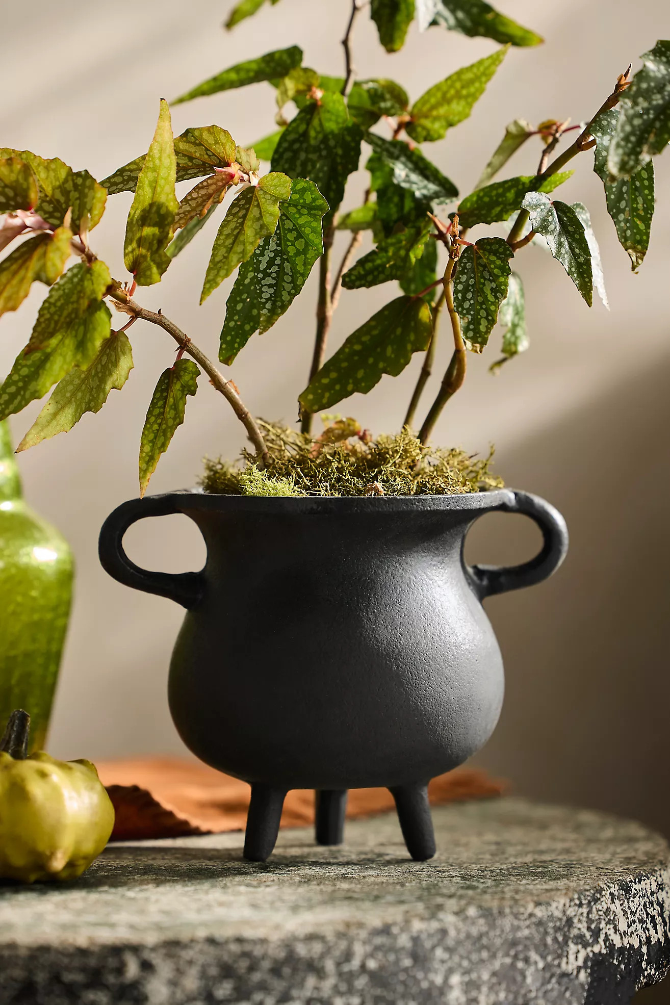 Spooky Cauldron Planter, Small | Anthropologie (US)