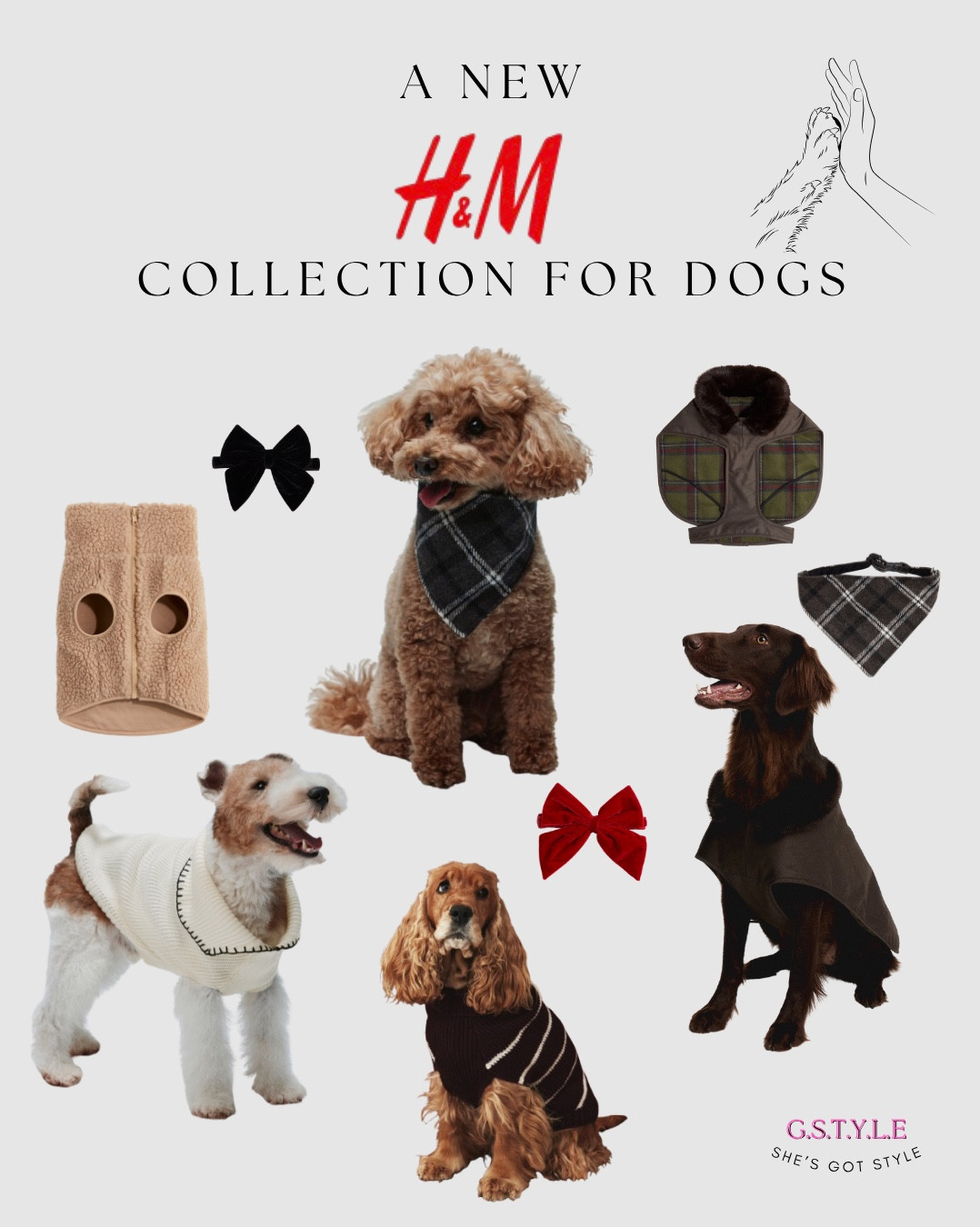 H&M new collection of dogs wear 🐶 

Swipe left to see more👈

#LTKsale #LTKhome #LTKfamily