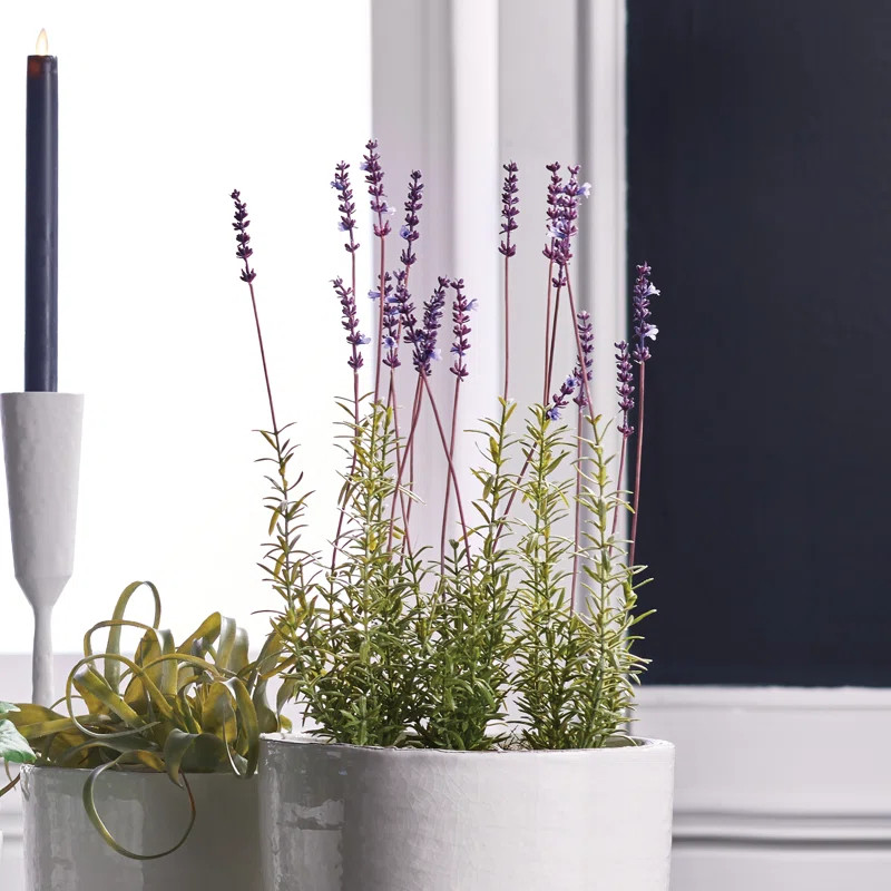 Lavender Arrangement in Pot | Wayfair North America