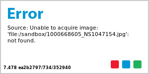 Natural Pumpkin With Gold Stem | TJ Maxx