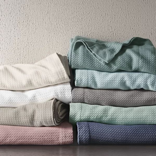 Aona 100% Egyptian-Quality Cotton Blanket | Wayfair North America