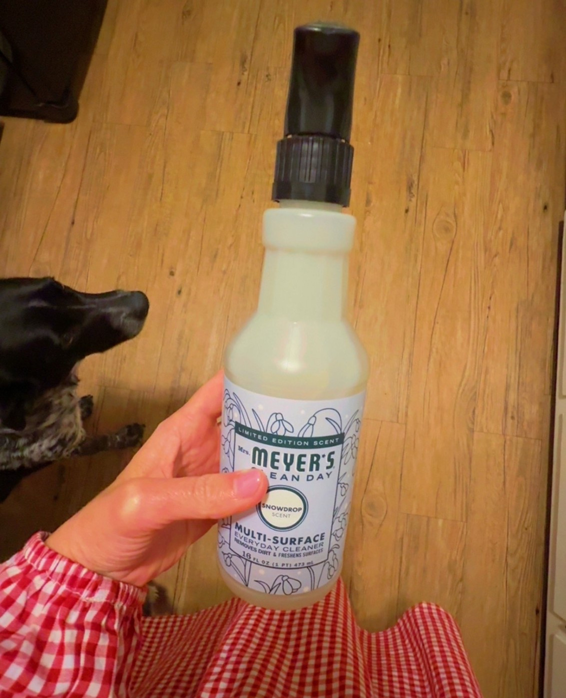 I promise, you’ll LOVE!! 🩵

#LTKSeasonal #LTKmomlife #LTKHome