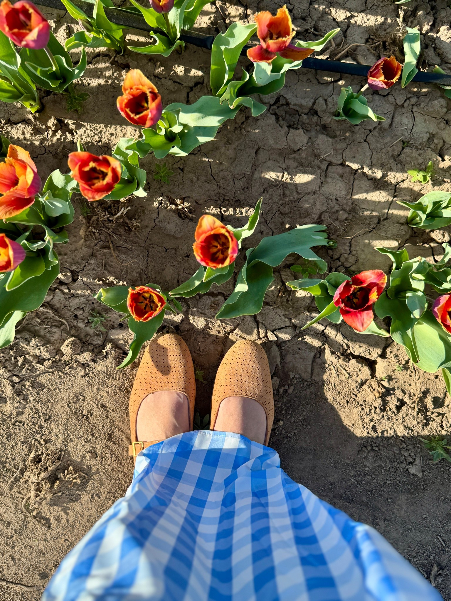 The most beautiful time of the year 🌷

#LTKootd #LTKgrwm #LTKmomlife