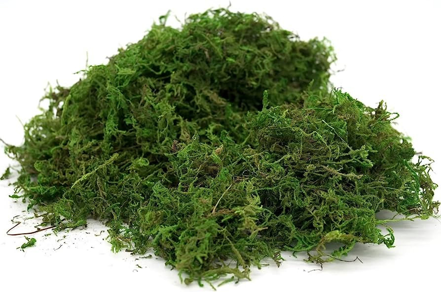 Usmola Fake Moss, Artificial Green Moss for Potted Plants Fairy Garden Accessories, 4OZ (Fresh Gr... | Amazon (US)