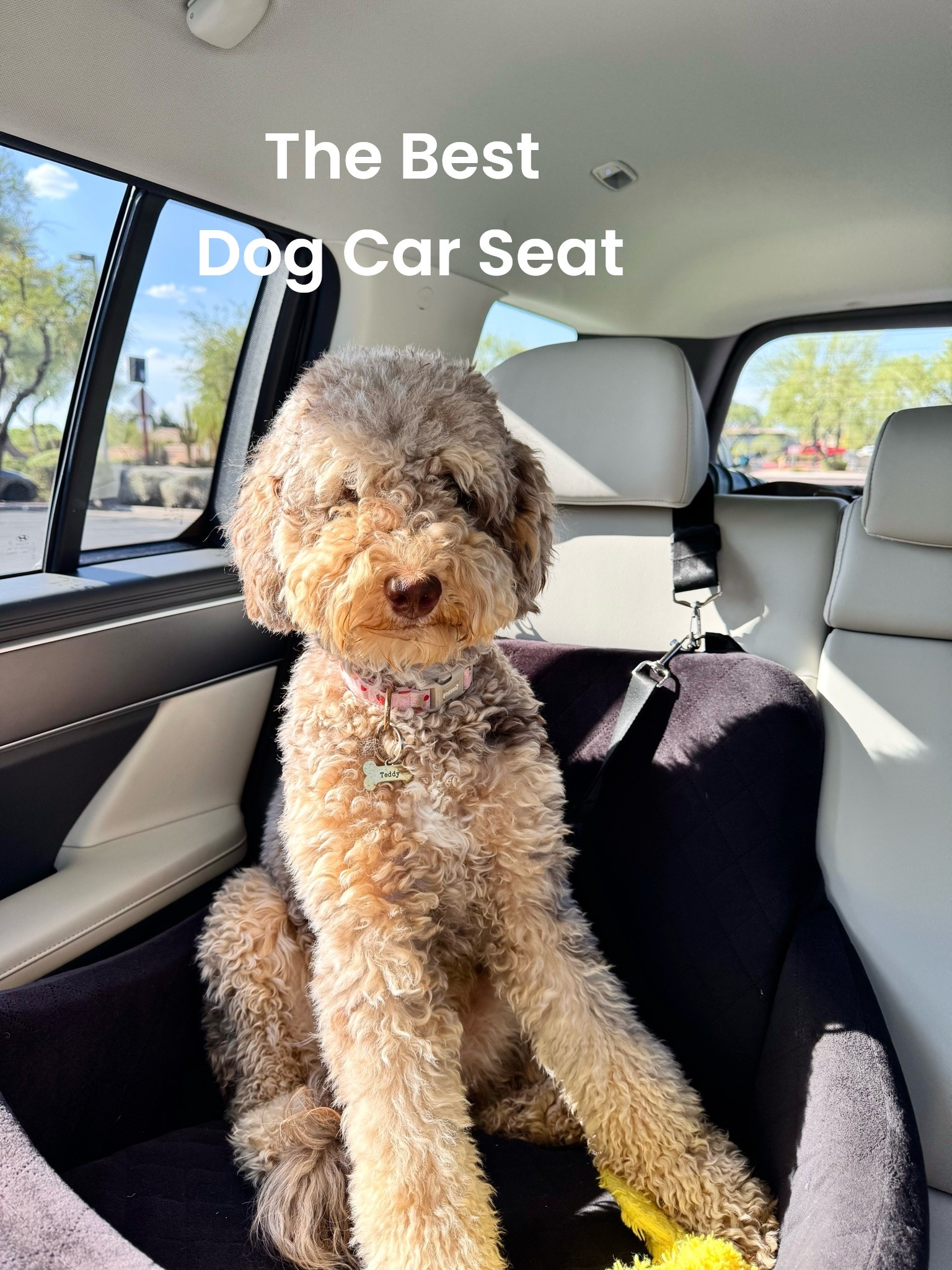 Traveling with Teddy is easy with this car seat for dogs. She's 10 months old 27 pounds. Holds up to 40 lbs. She sits or lays down in it. Happy on our 6 hour road trip.

#LTKdayinmylife #LTKTravel #LTKHome