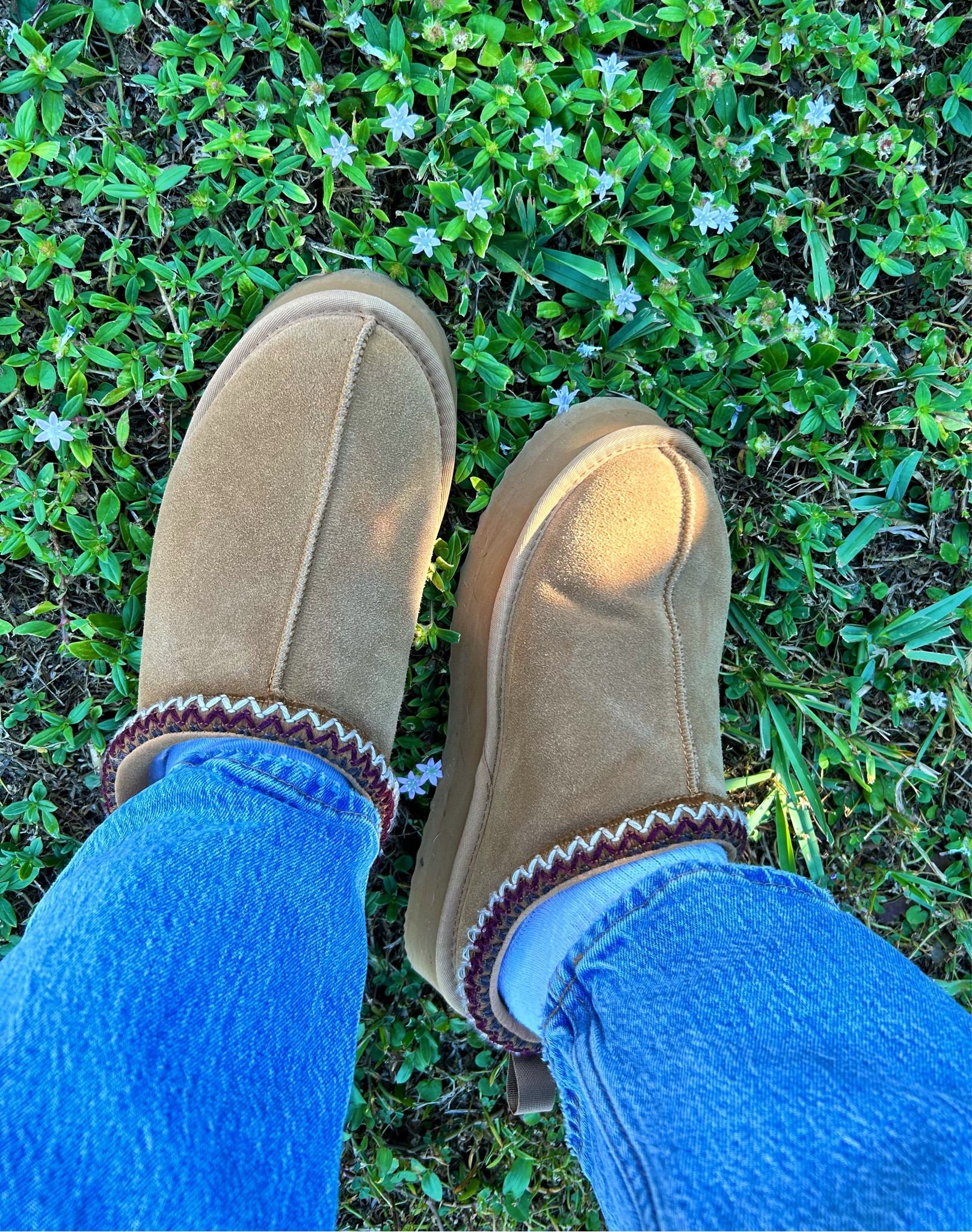 I love when it’s cold enough in Florida to wear boots🤎
Boots are Dream Pairs on Amazon for $31 right now for Black Friday and jeans are Abercrombie (medium wash)

#LTKFindsUnder50 #LTKShoeCrush #LTKGiftGuide