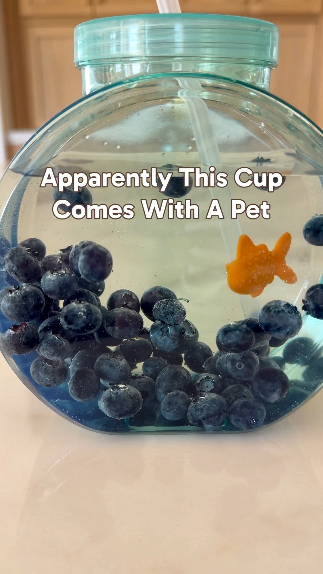 How adorable is this fishbowl tumbler! The tiny fish is the cutest little detail, and it makes staying hydrated a lot more fun for both kids and adults 🐠 

 #LTKHome